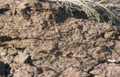 Полезные ископаемые пермского края в картинках